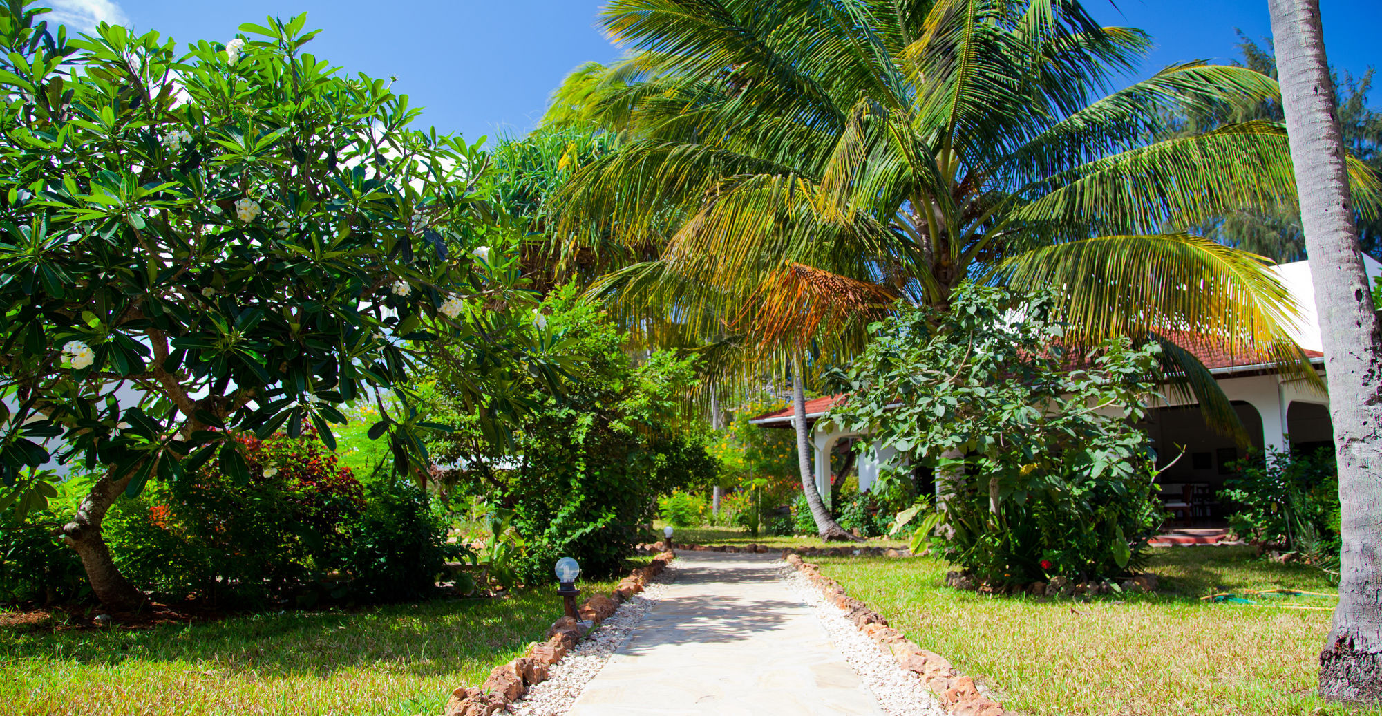 Flame Tree Cottages Nungwi Exterior foto